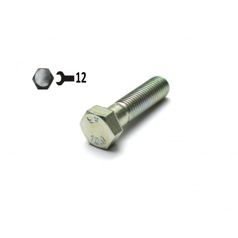 Bolt, screw M8 x 1.0