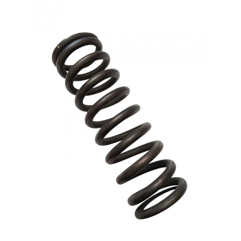 Rear suspension spring IZH 49