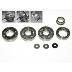 Gearbox bearings set for...