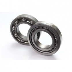 Bearings 6209 & NJ209