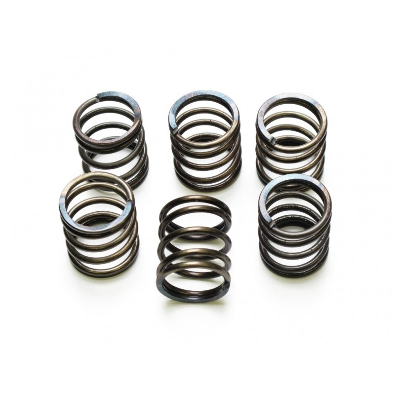 Clutch springs, 6 pcs  BMW R12